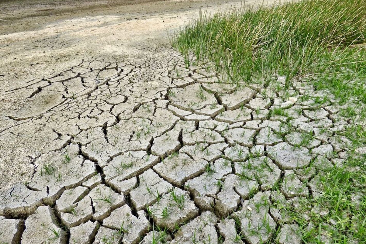 Cambiamenti climatici. Un incontro pubblico a Udine