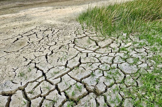 cambiamenti-climatici-e-innovazione-tecnologica_