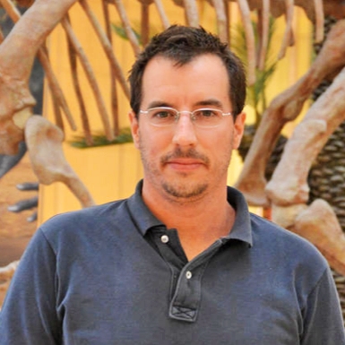 Massimo Bernardi