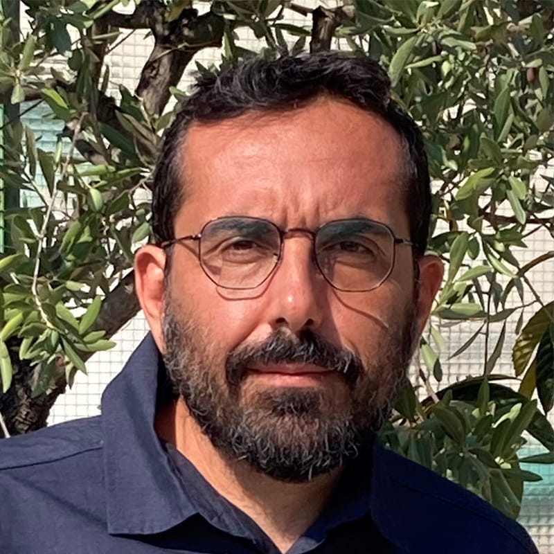 Simone Pollo